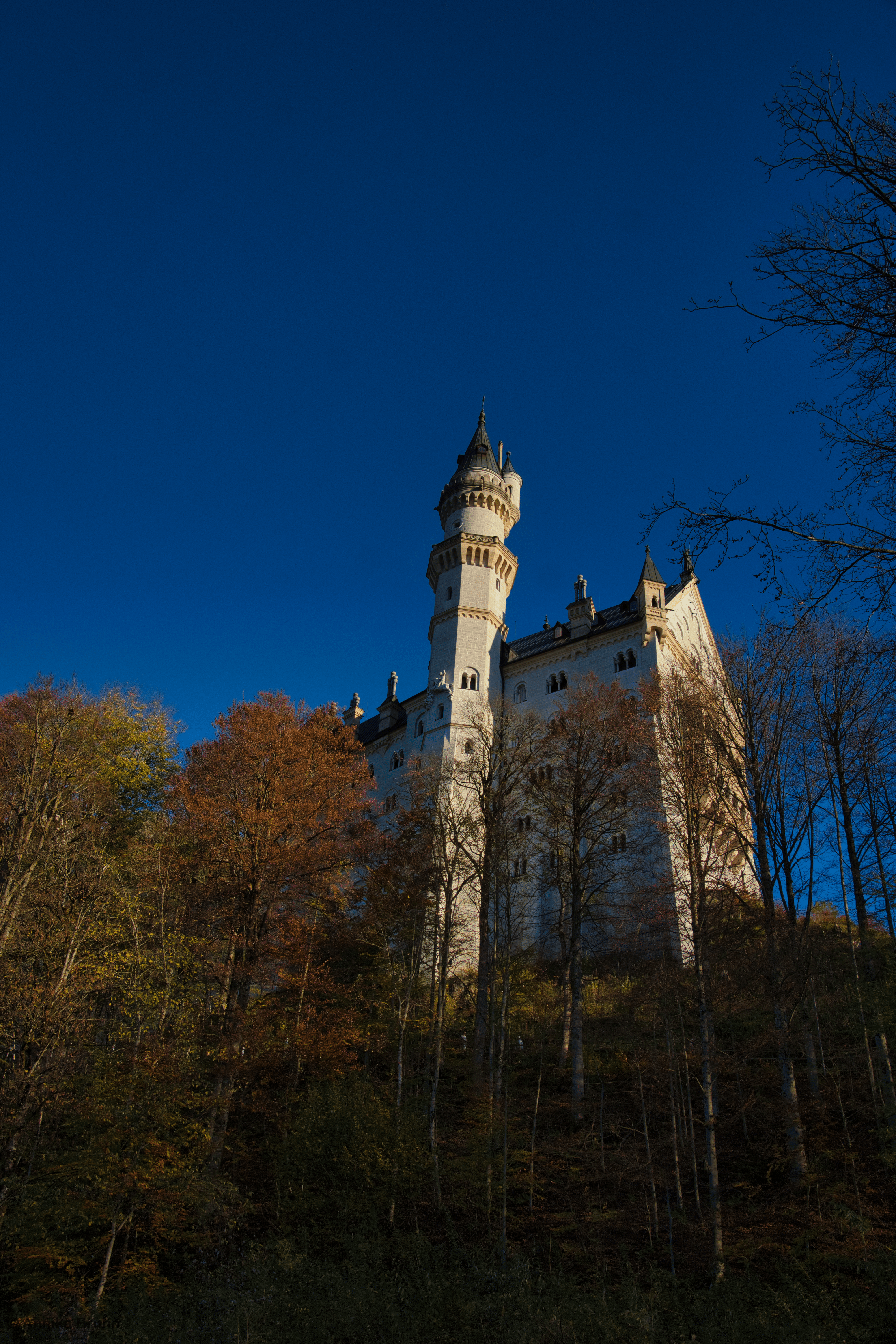 Schloss Neuschwanstein.2